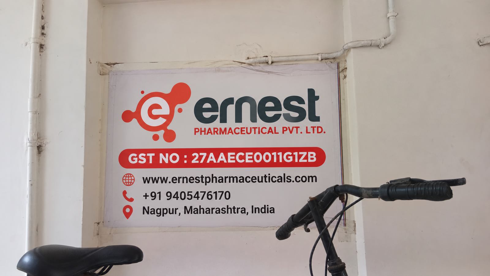 Ernest Pharmaceutical – Export & After-Sales Support