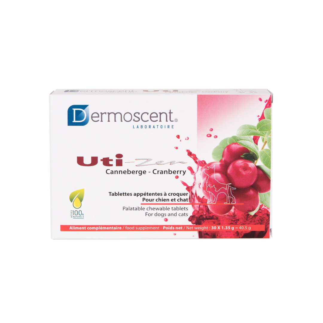 Uti-Zen Tablet Dropshipper and Exporter in singapore,usa,uk,uae,canada by Ernest Pharmaceutical