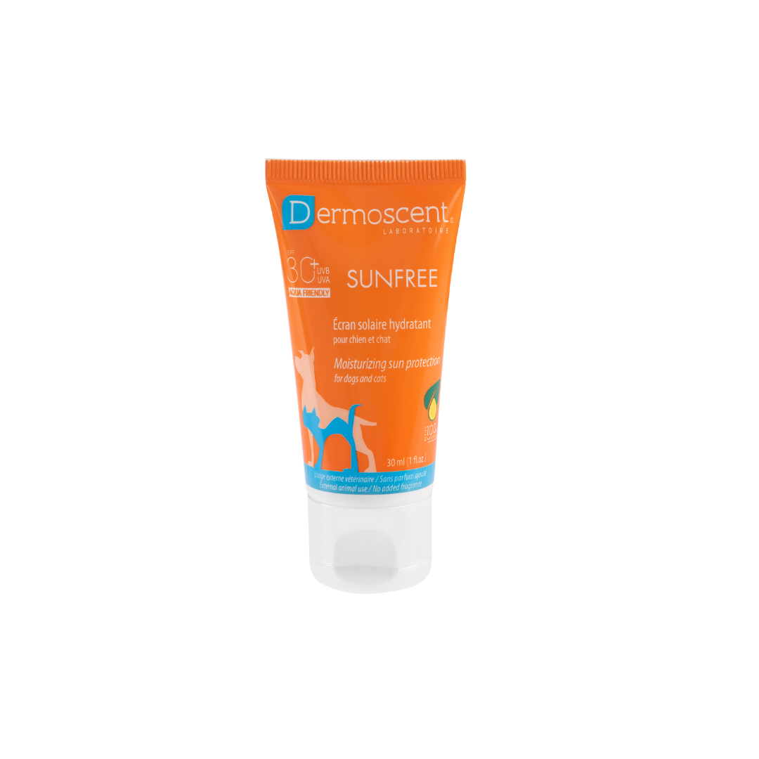 SunFREE Dropshipper and Exporter in singapore,usa,uk,uae,canada by Ernest Pharmaceutical