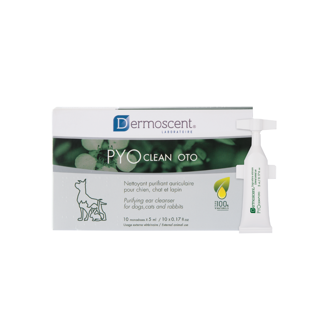 Pyoclean Oto Dropshipper and Exporter in singapore,usa,uk,uae,canada by Ernest Pharmaceutical
