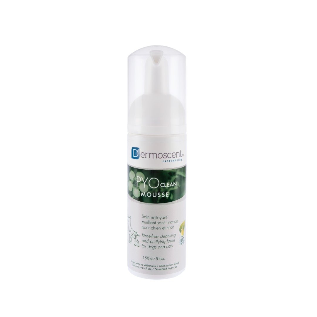 Pyoclean Mousse Dropshipper and Exporter in singapore,usa,uk,uae,canada by Ernest Pharmaceutical