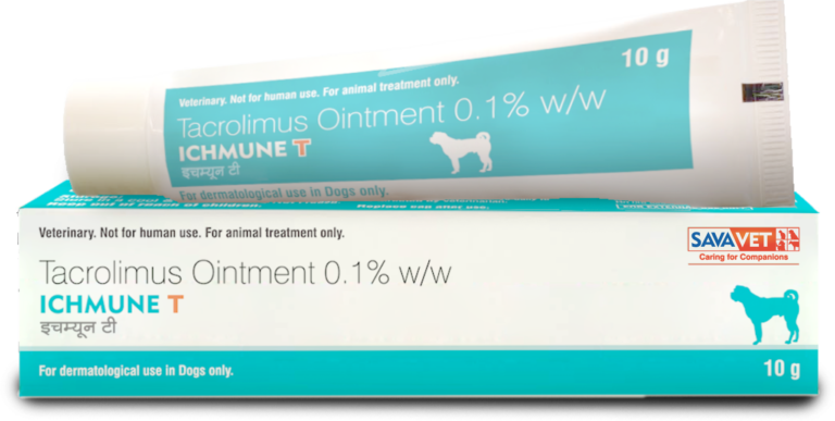 Ichmune T Dropshipper and Exporter in singapore,usa,uk,uae,canada by Ernest Pharmaceutical