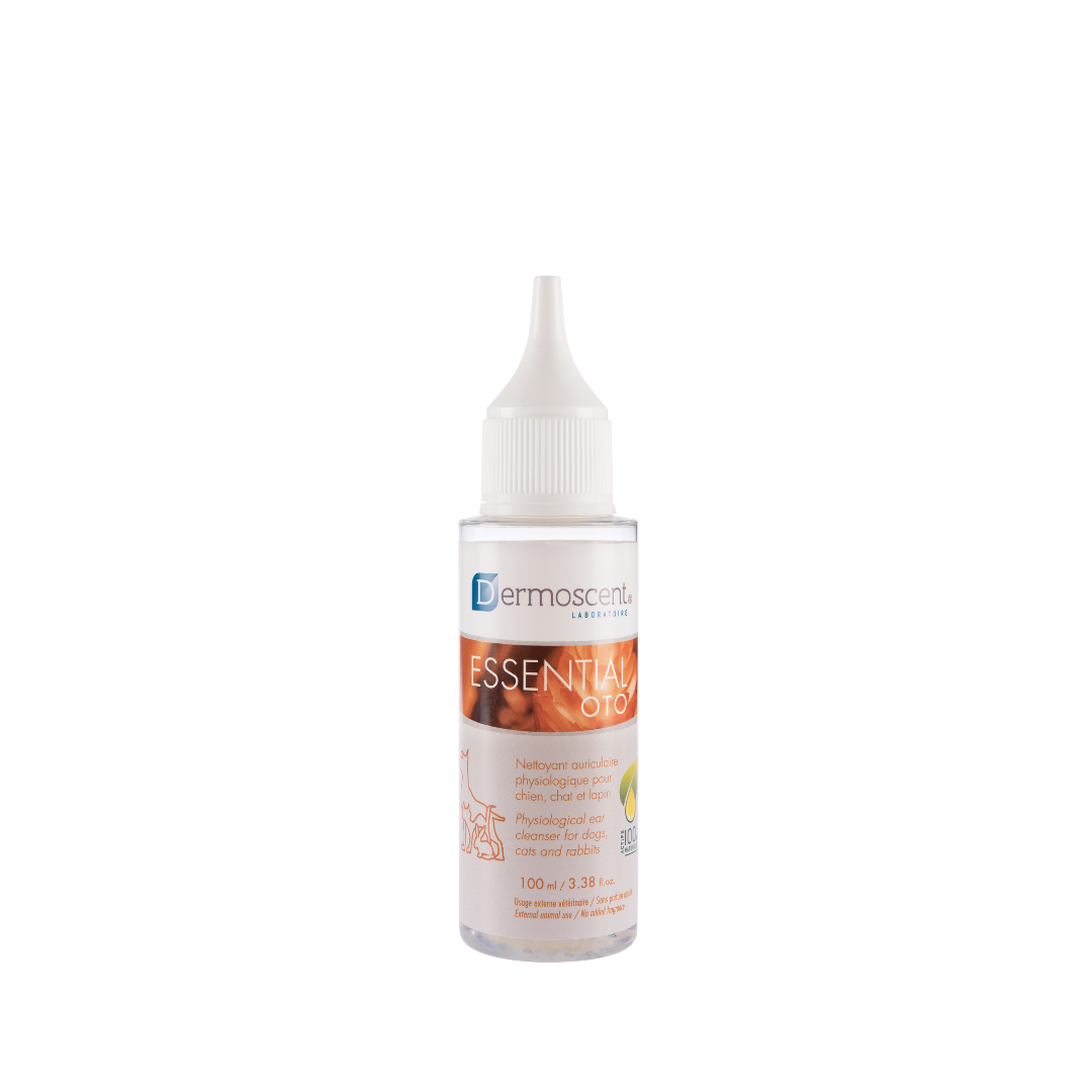 Essential Oto Dropshipper and Exporter in singapore,usa,uk,uae,canada by Ernest Pharmaceutical