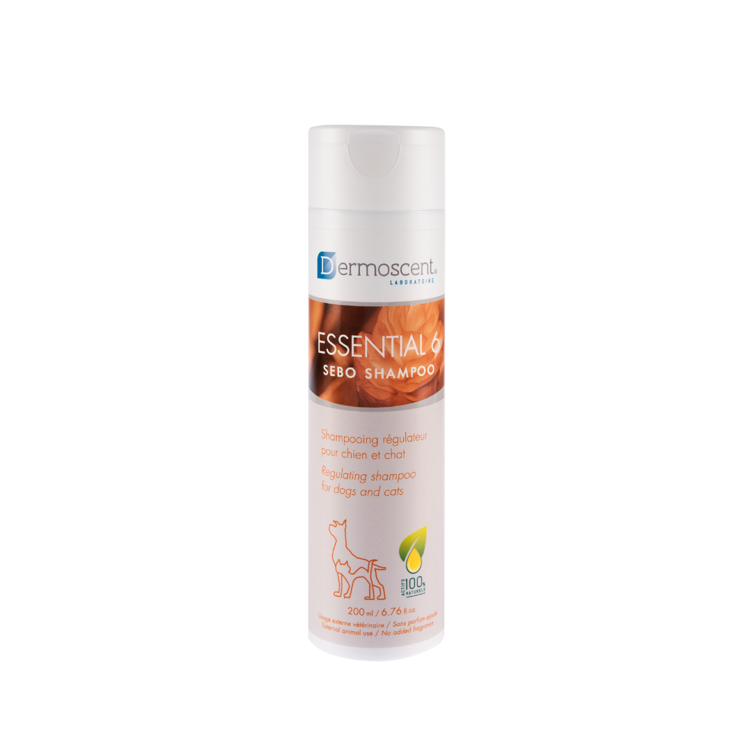 Essential 6 Sebo Shampoo Dropshipper and Exporter in singapore,usa,uk,uae,canada by Ernest Pharmaceutical