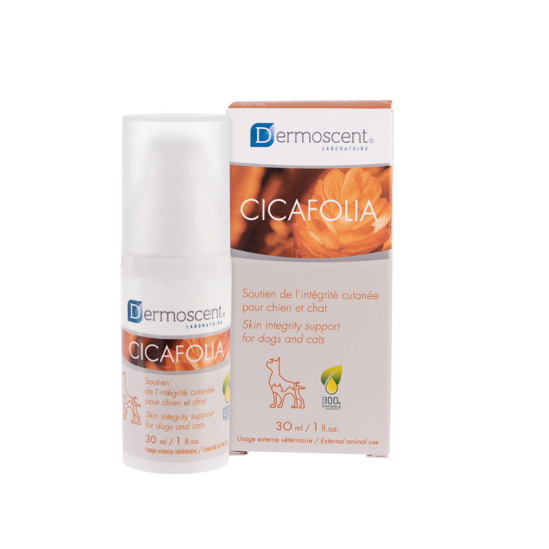 Cicafolia Dropshipper and Exporter in singapore,usa,uk,uae,canada by Ernest Pharmaceutical
