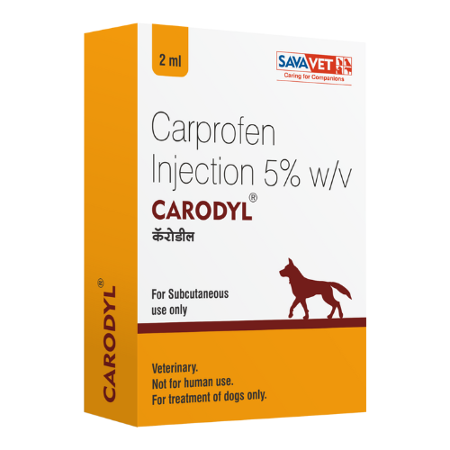 Carodyl Injection Dropshipper and Exporter in singapore,usa,uk,uae,canada by Ernest Pharmaceutical