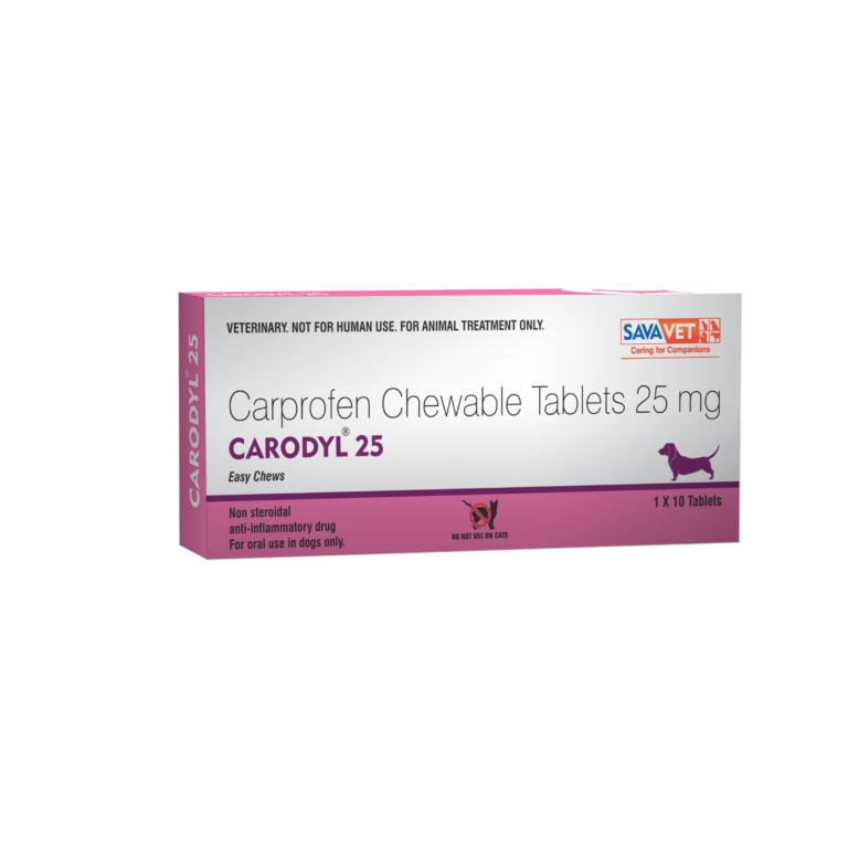 Carodyl Tablet Dropshipper and Exporter in singapore,usa,uk,uae,canada by Ernest Pharmaceutical