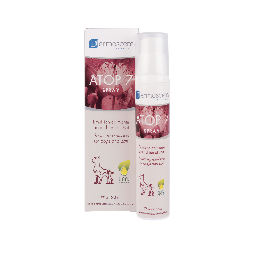 Atop 7 Spray Dropshipper and Exporter in singapore,usa,uk,uae,canada by Ernest Pharmaceutical