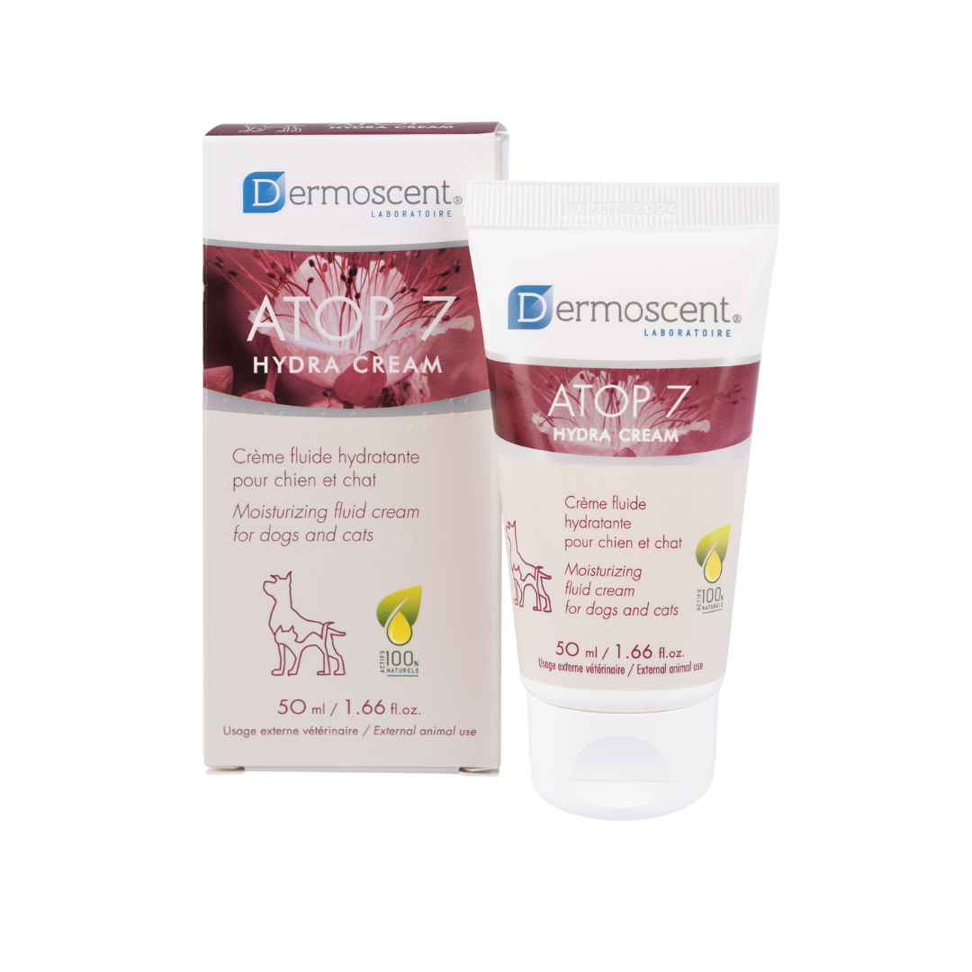 Atop 7 Hydra Cream Dropshipper and Exporter in singapore,usa,uk,uae,canada by Ernest Pharmaceutical