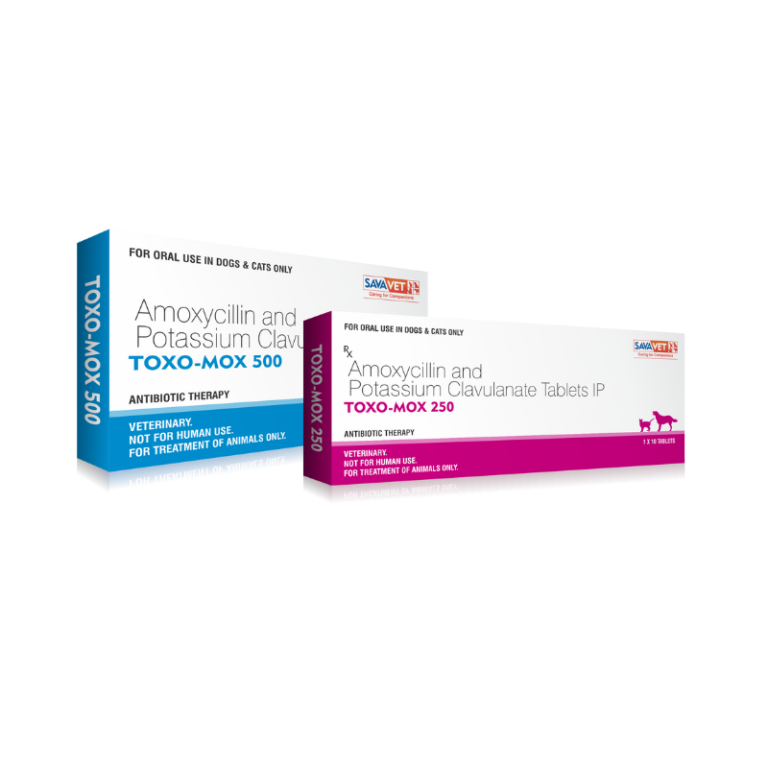 Toxo-Mox Tablet Dropshipper and Exporter in singapore,usa,uk,uae,canada by Ernest Pharmaceutical