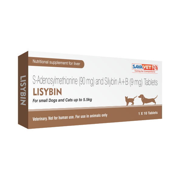 Lisybin
